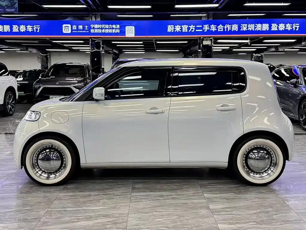 Ora White Cat 2022