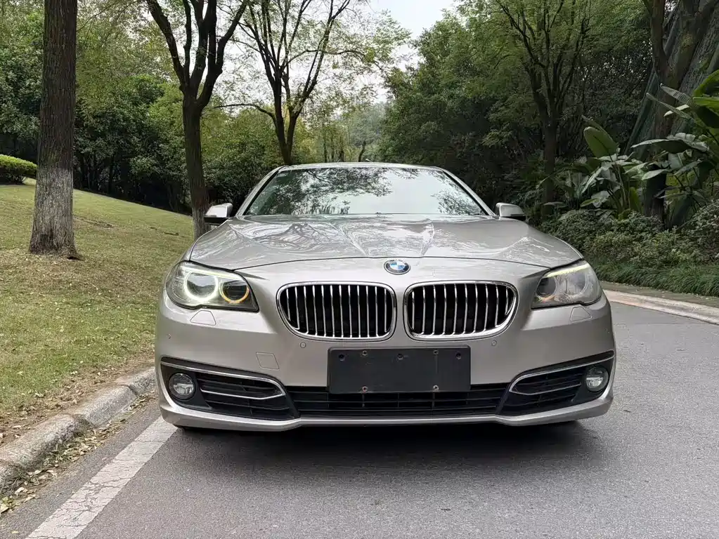 BMW 5 Series 2016