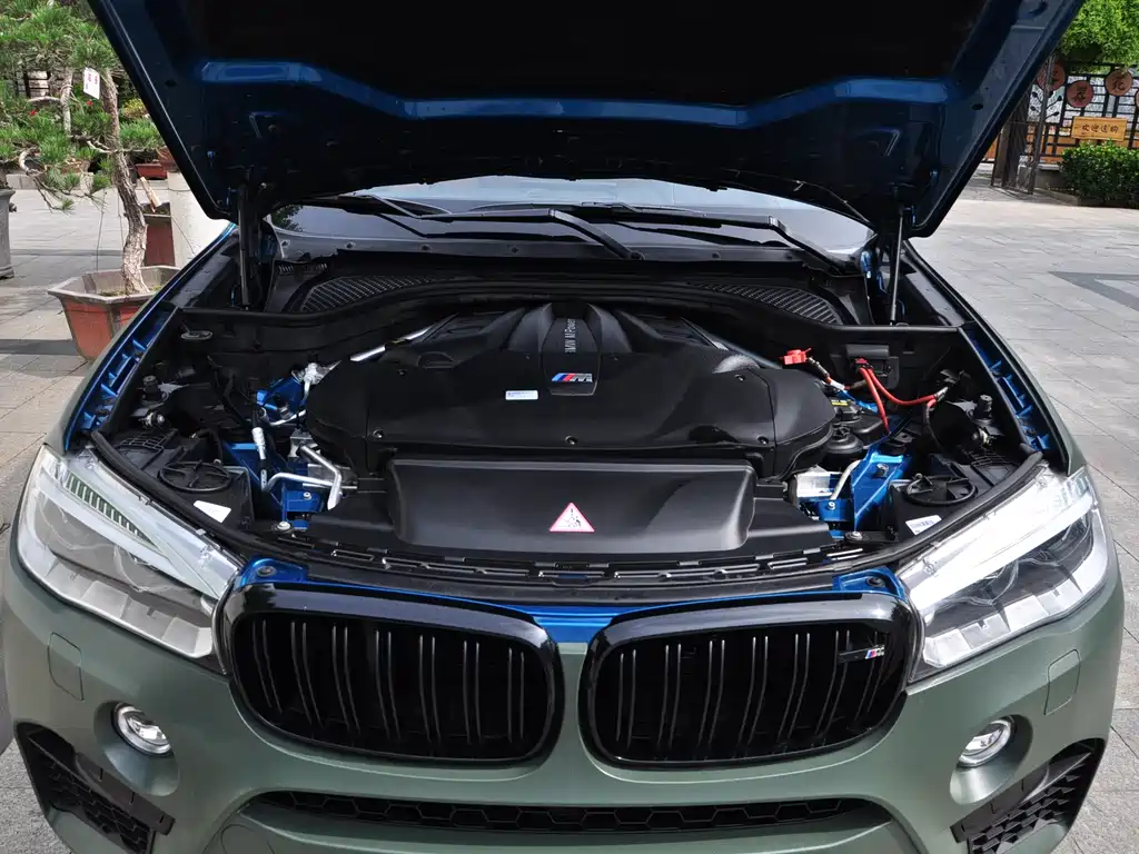 BMW X6 M 2016 — фото 16