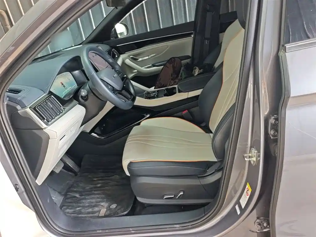 BYD PLUS New Energy 2024 — фото 15