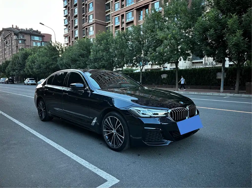BMW 5 Series 2021