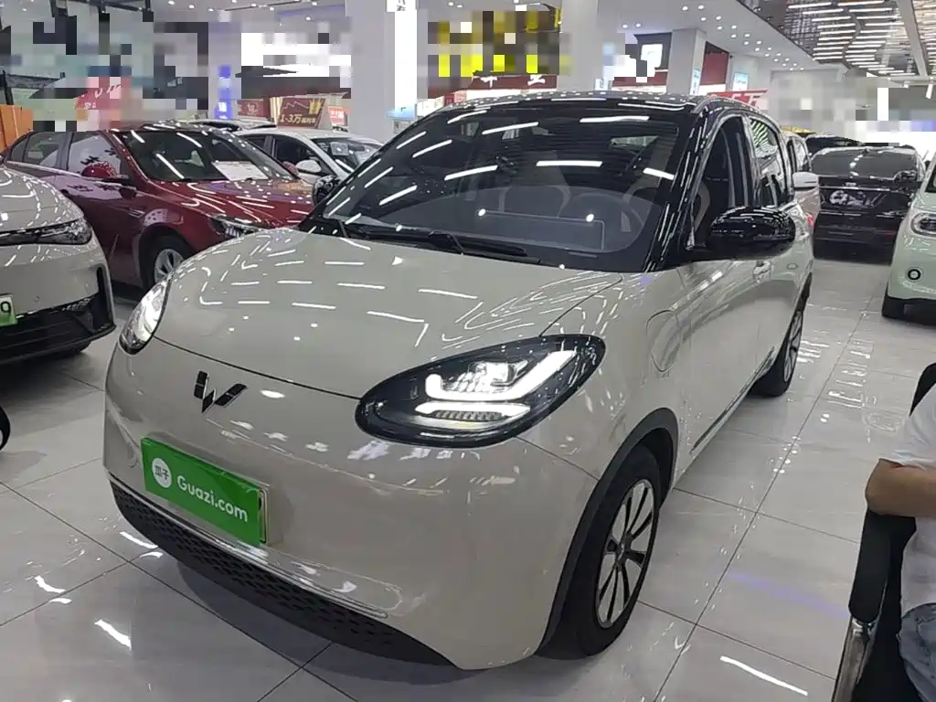 Wuling Bingo 2024