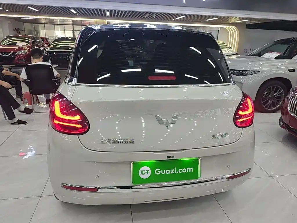 Wuling Bingo 2024