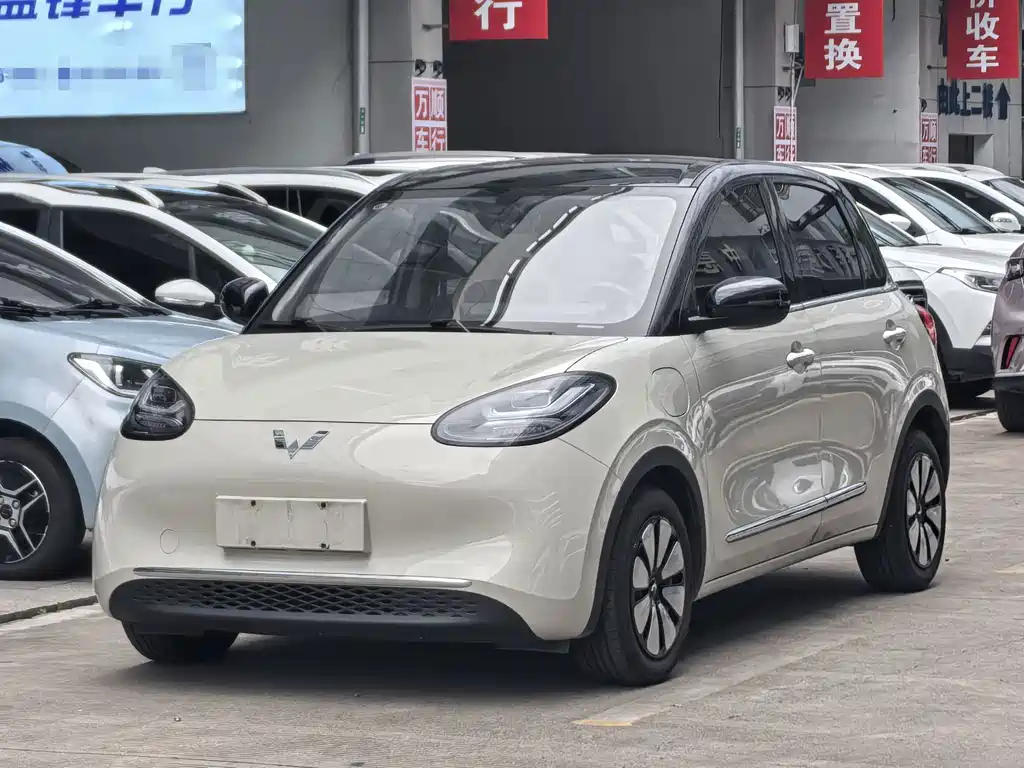 Wuling Bingo 2024