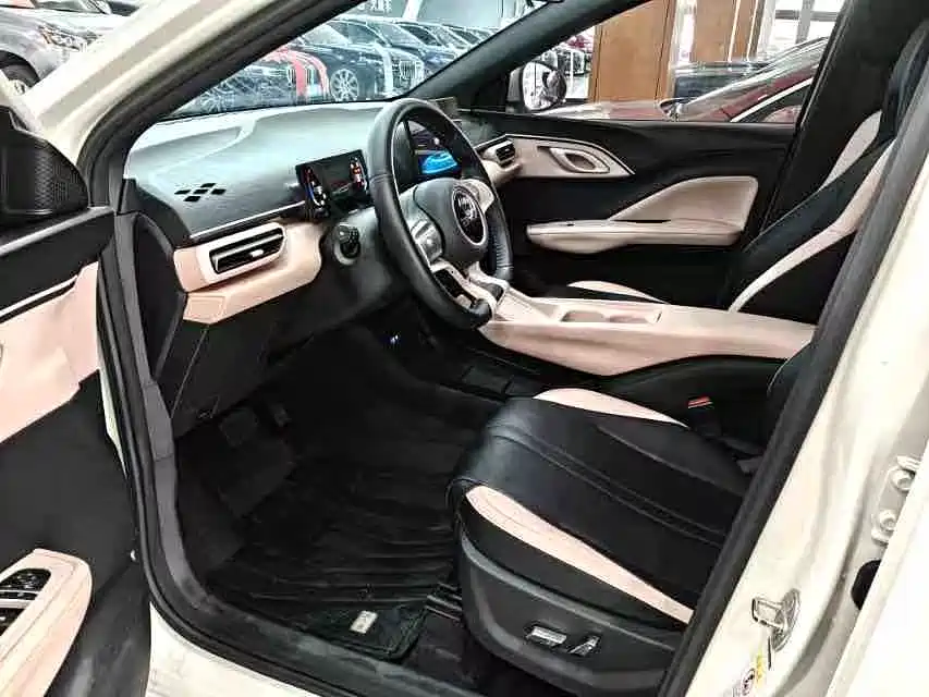 BYD Seagull 2024