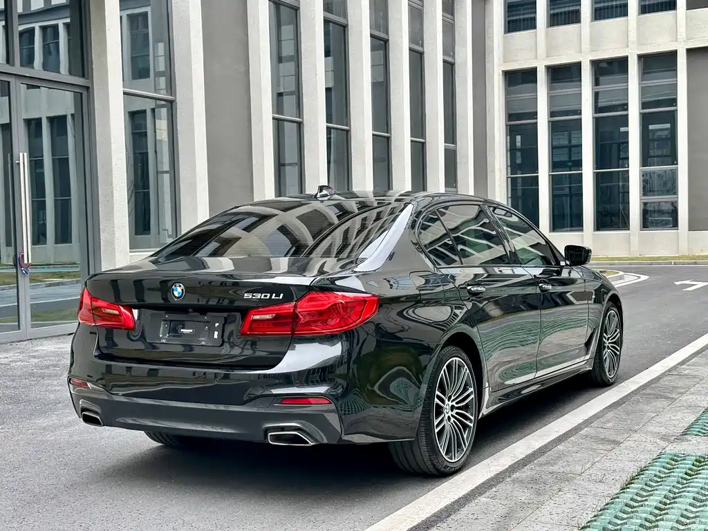 BMW 5 Series 2018 — фото 22