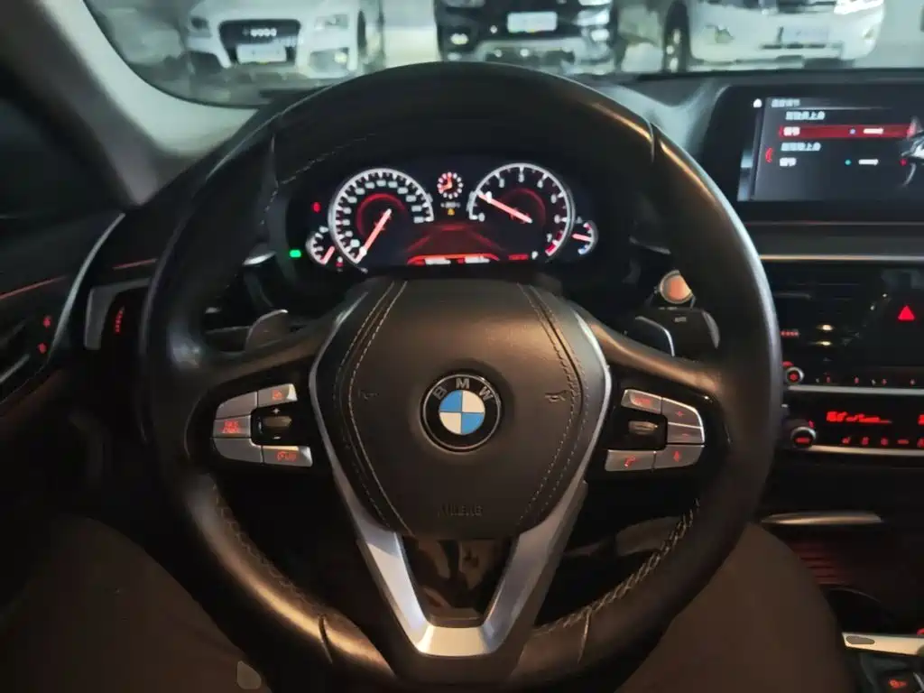 BMW 5 Series 2018 — фото 11