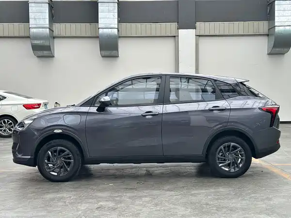 Neta V 2021