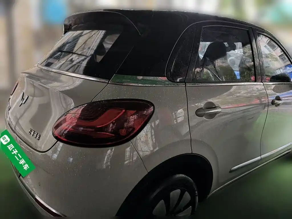 Wuling Bingo 2024