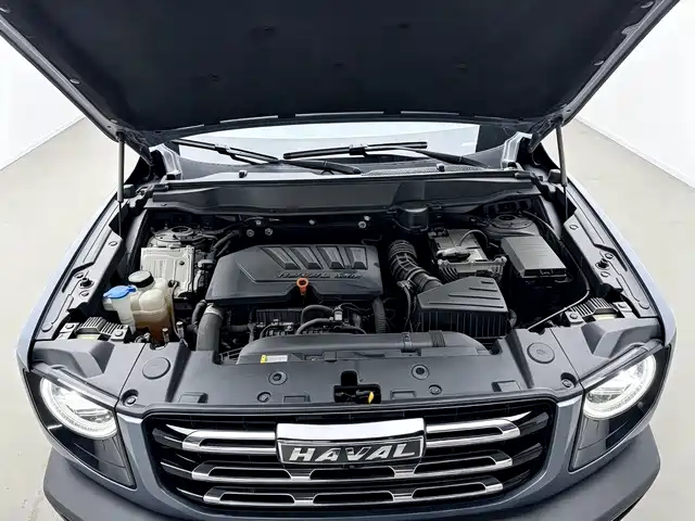 Haval Dargo 2021 — фото 13