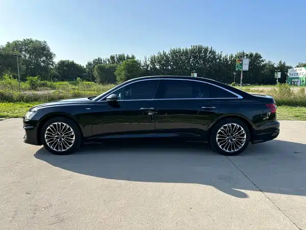 Audi A6L New Energy 2021