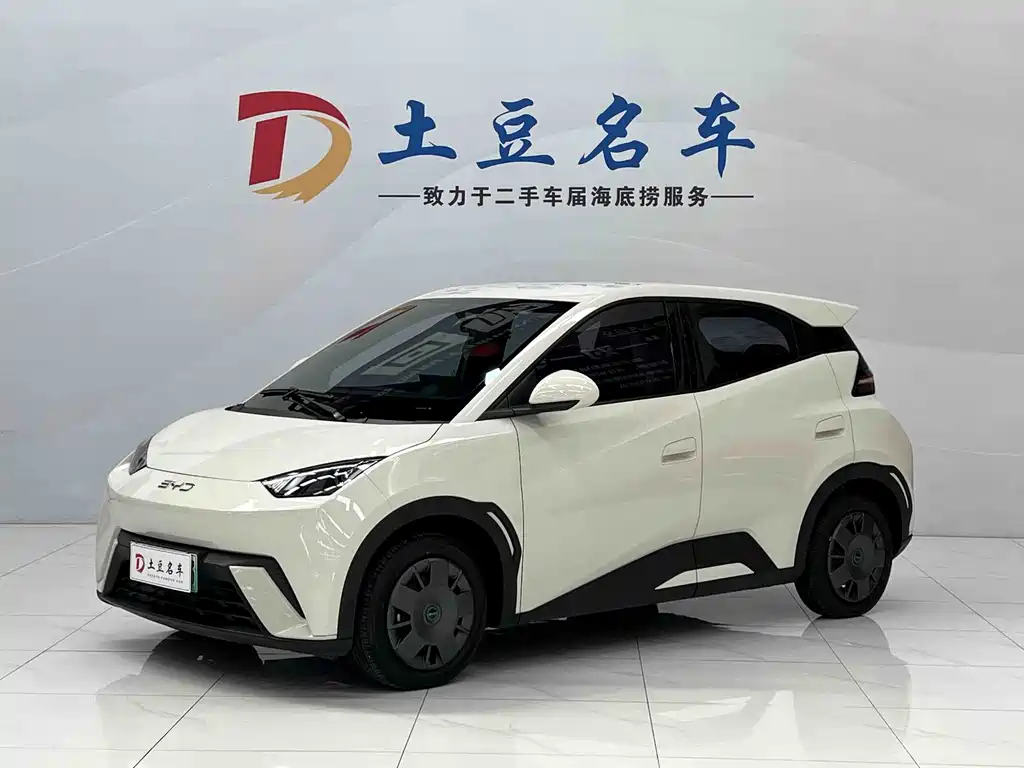 BYD Seagull 2025