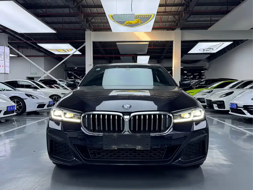BMW 5 Series 2020