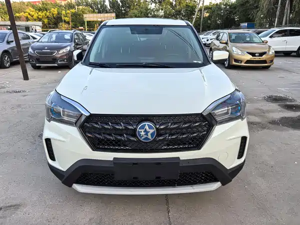 Venucia T60 2020