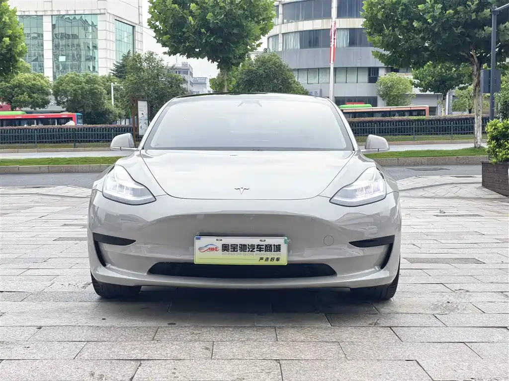 Tesla Model 3 2020 — фото 2