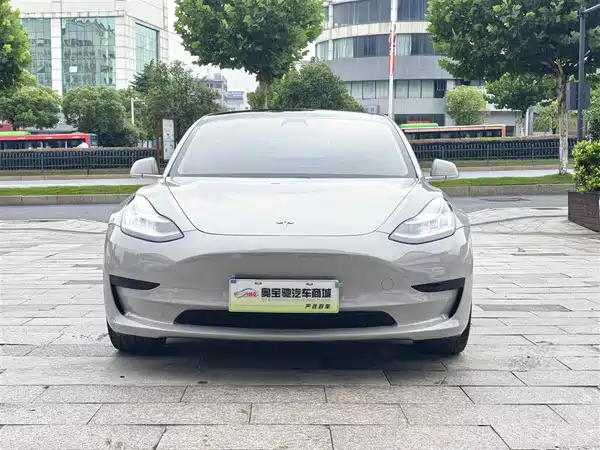 Tesla Model 3 2020