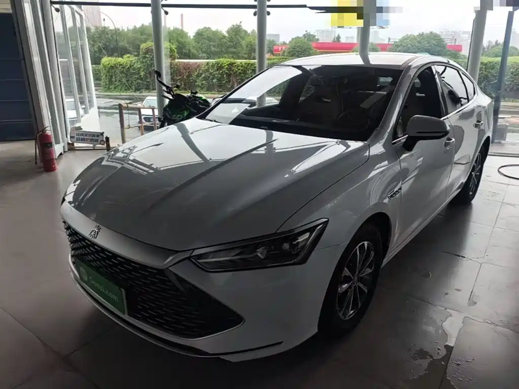 BYD Qin PLUS 2023 — фото 2