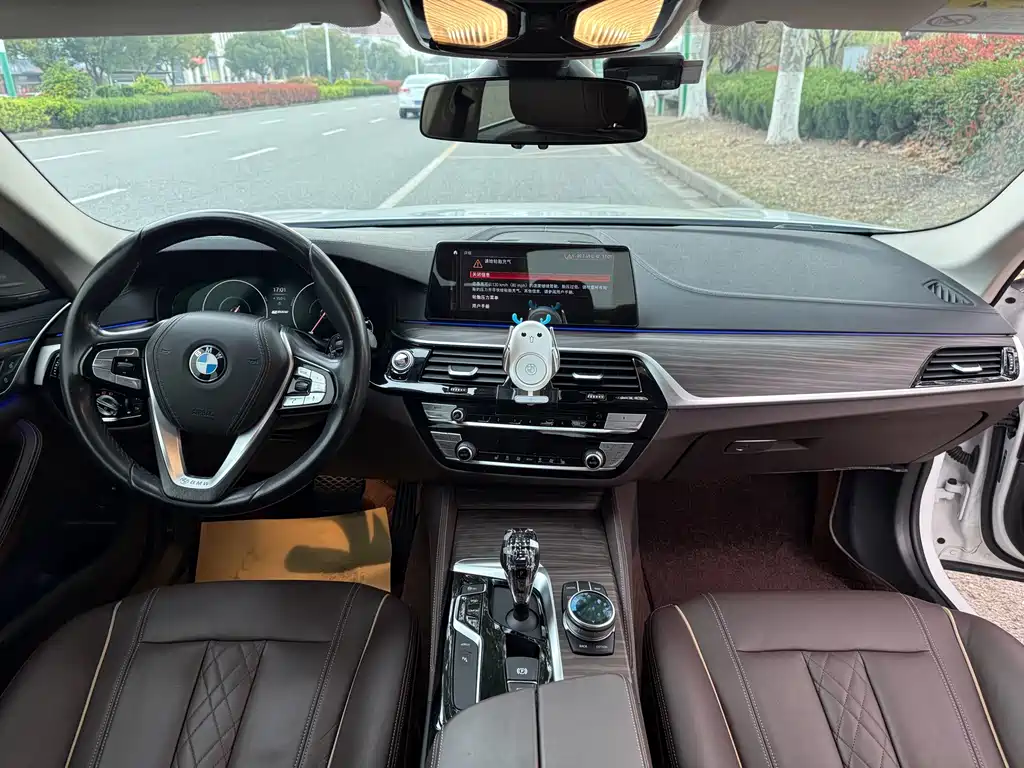 BMW 5 Series New Energy 2019 — фото 14