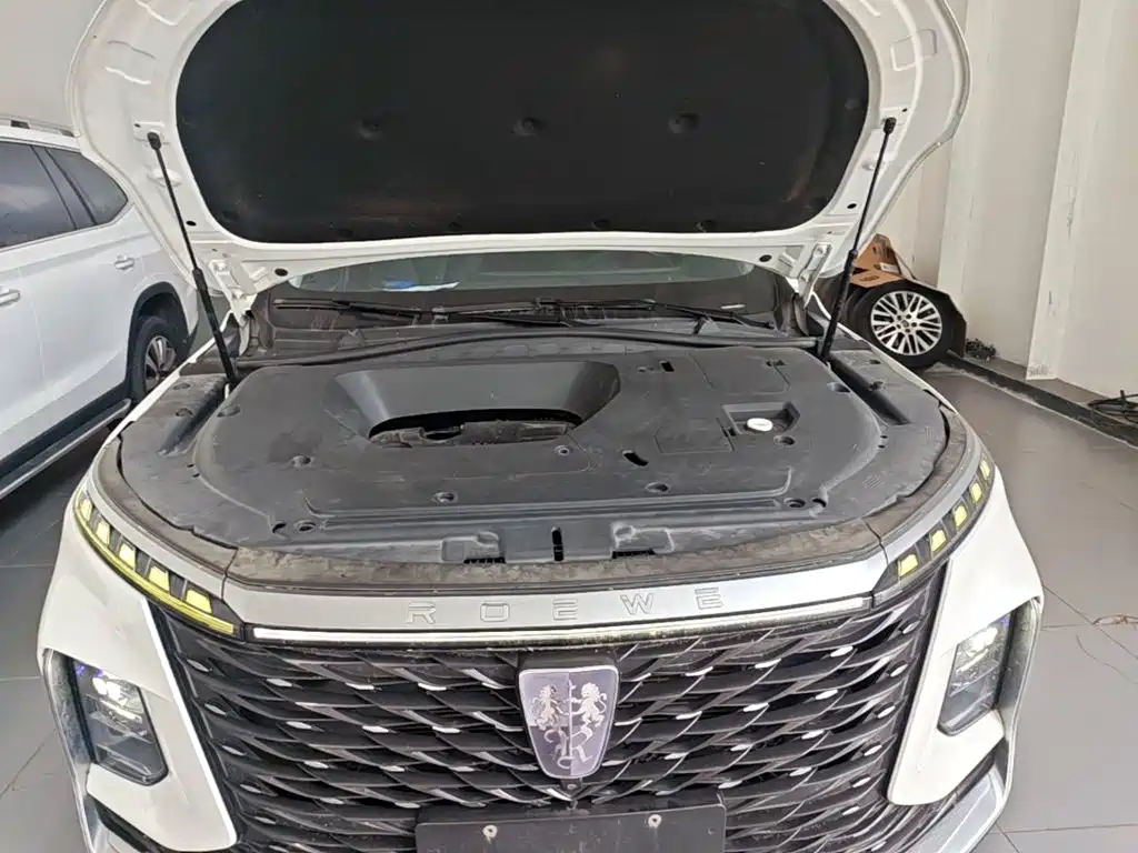 Roewe RX5 MAX 2022 — фото 20