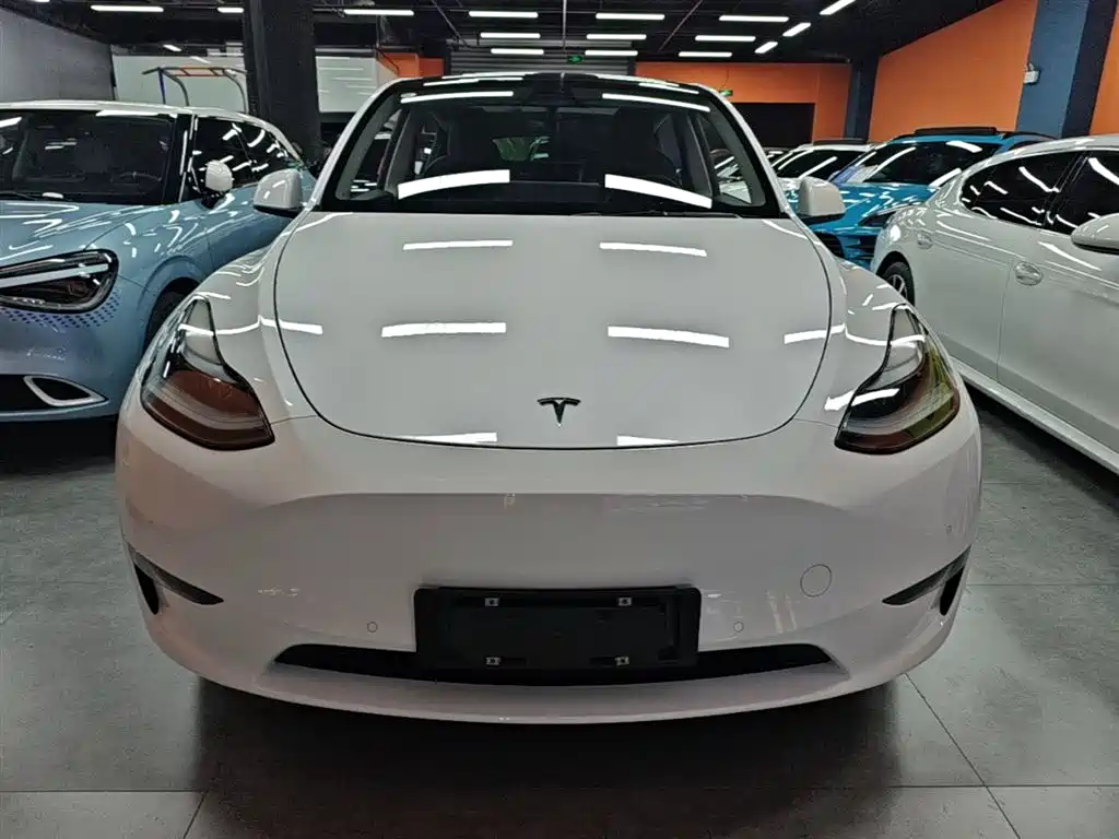 Tesla Model Y 2021 — фото 3