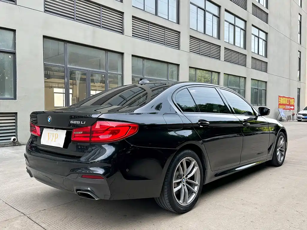 BMW 5 Series 2019 — фото 14