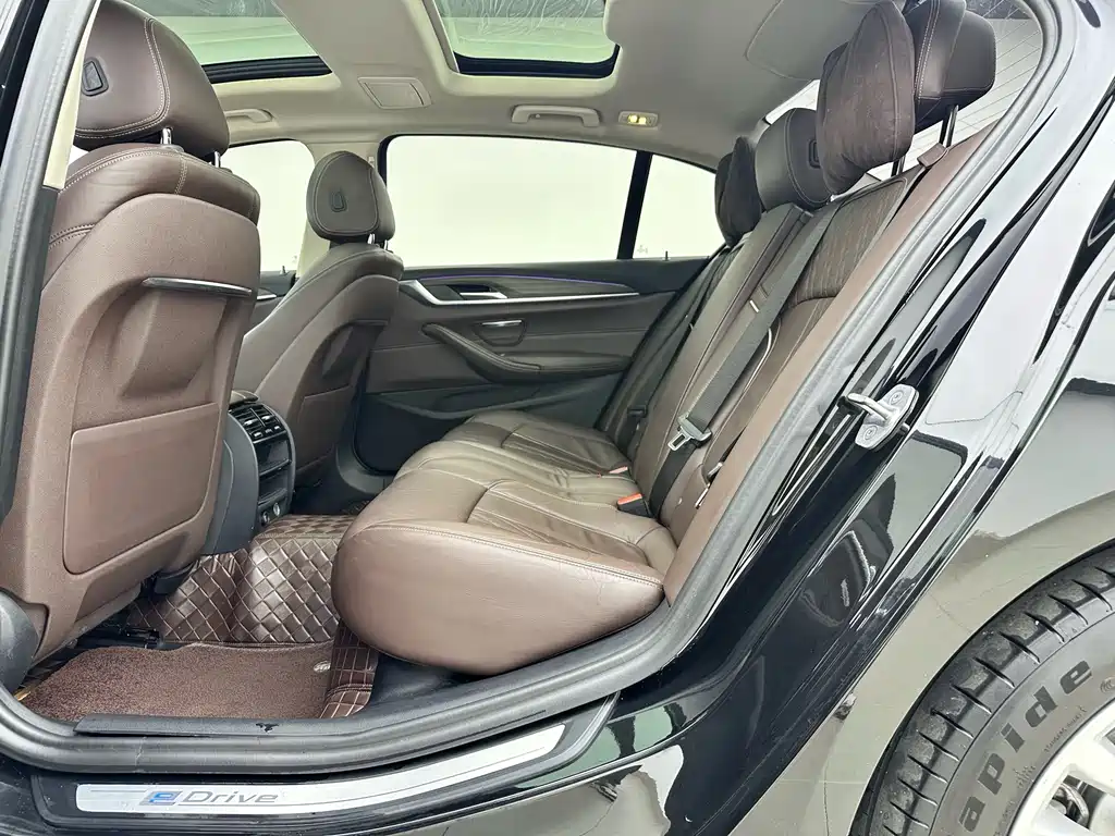 BMW 5 Series New Energy 2019