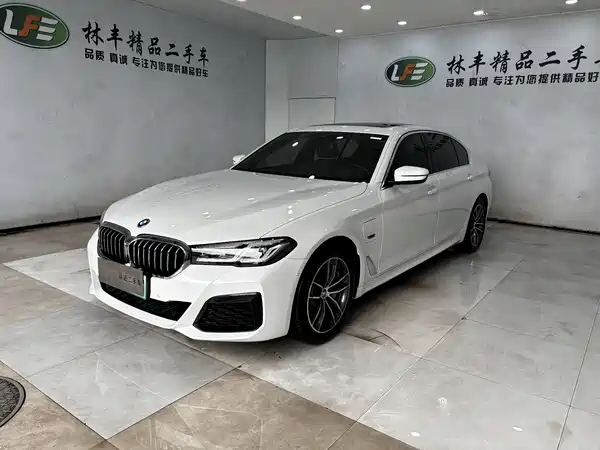 BMW 5 Series New Energy 2022