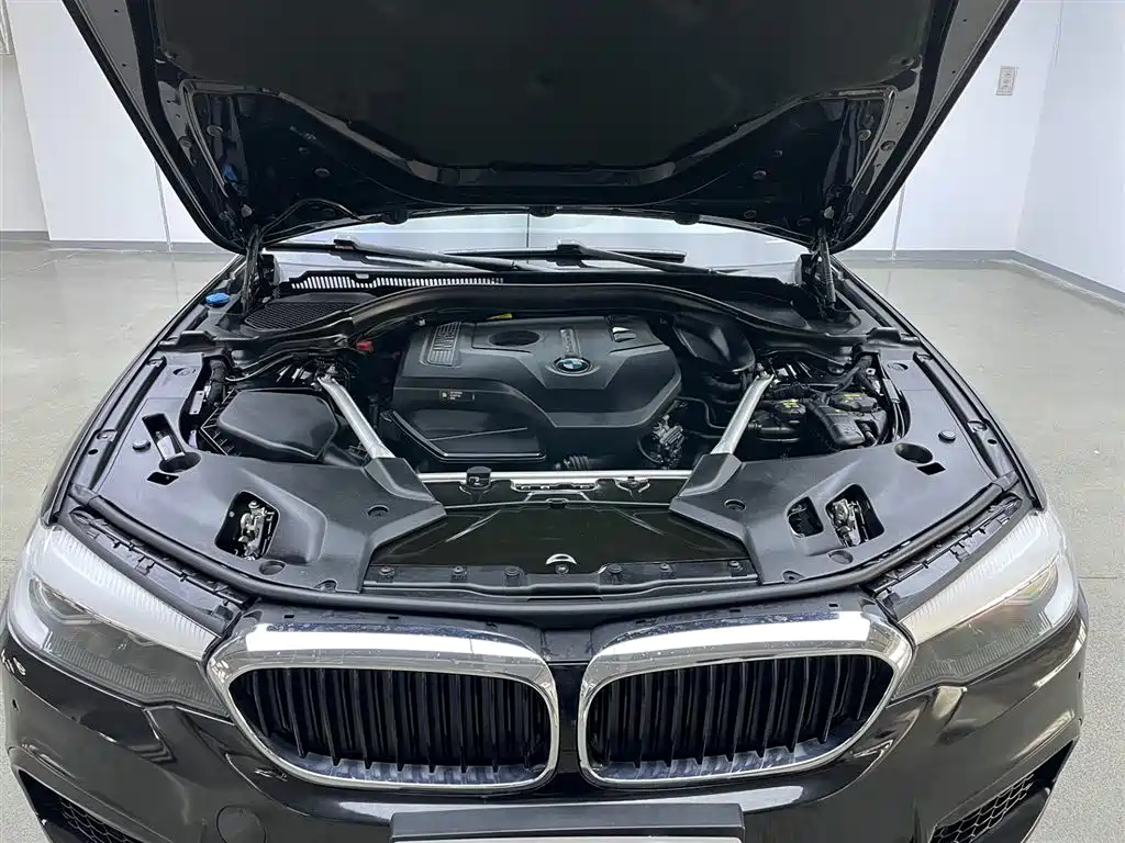 BMW 5 Series 2019 — фото 9