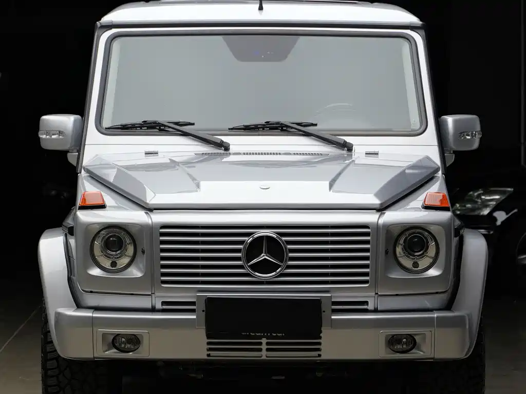 Mercedes-Benz G-Class AMG 2008 — фото 2