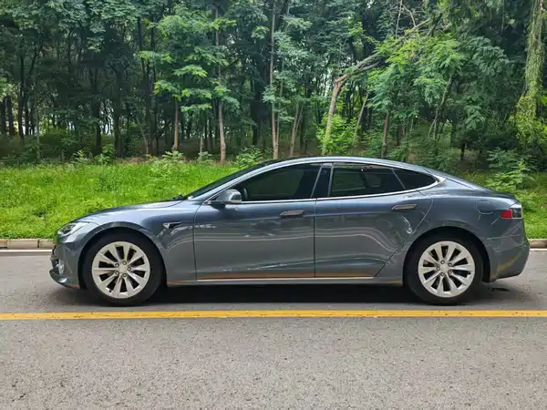 Tesla Model S 2019