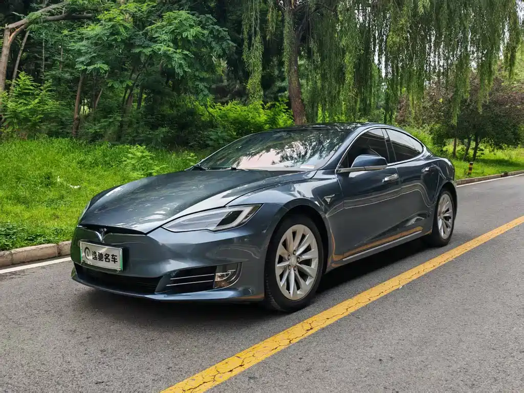Tesla Model S 2019
