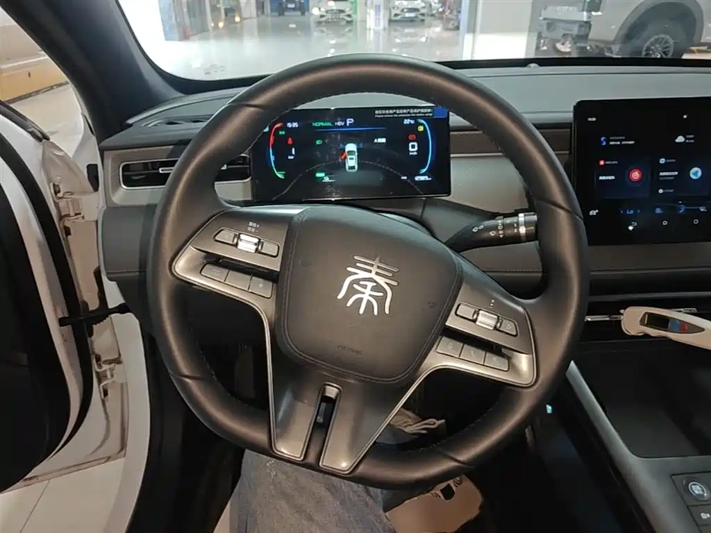 BYD Qin PLUS 2025 — фото 11