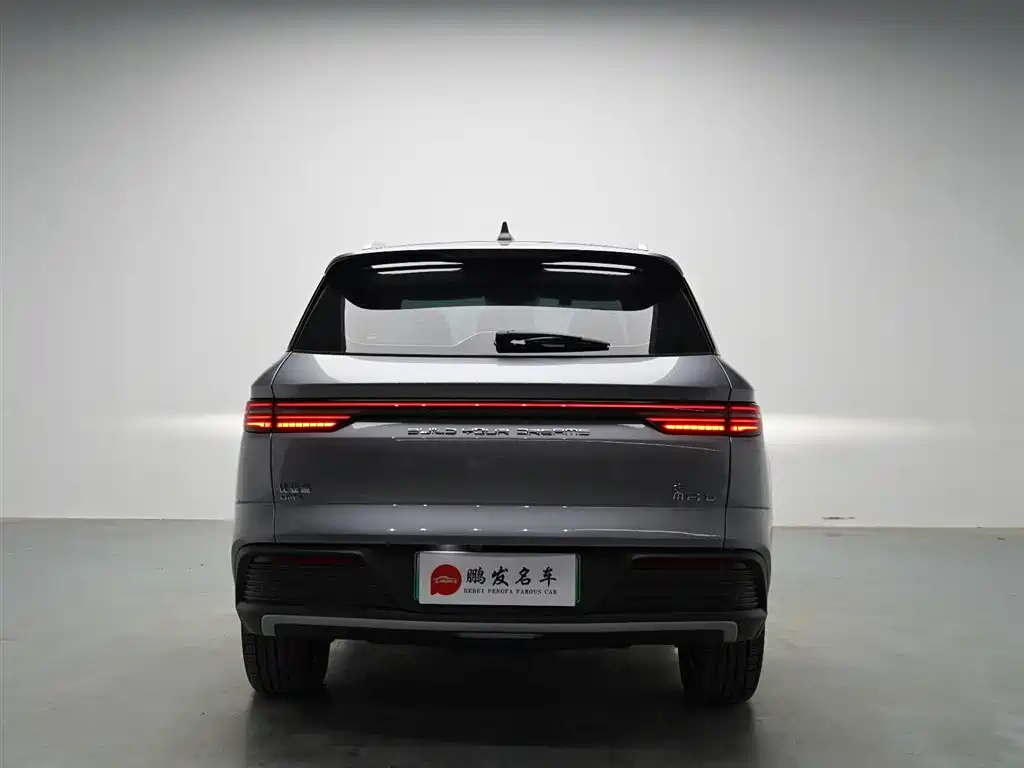 BYD Pro New Energy 2024 — фото 15