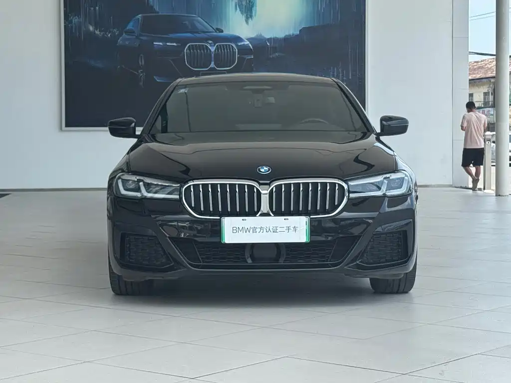 BMW 5 Series New Energy 2022