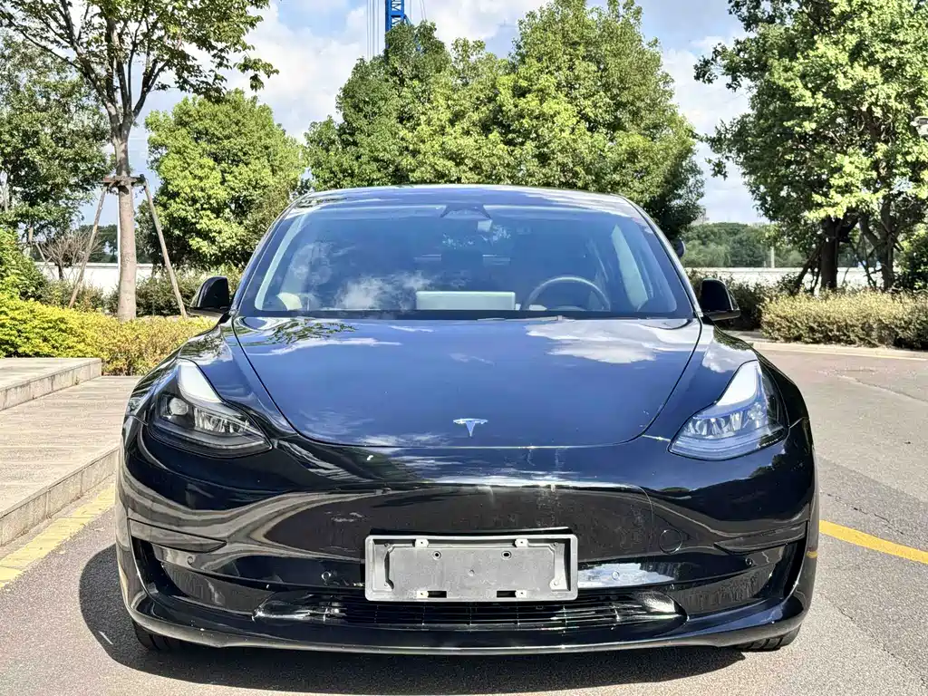 Tesla Model 3 2023 — фото 2