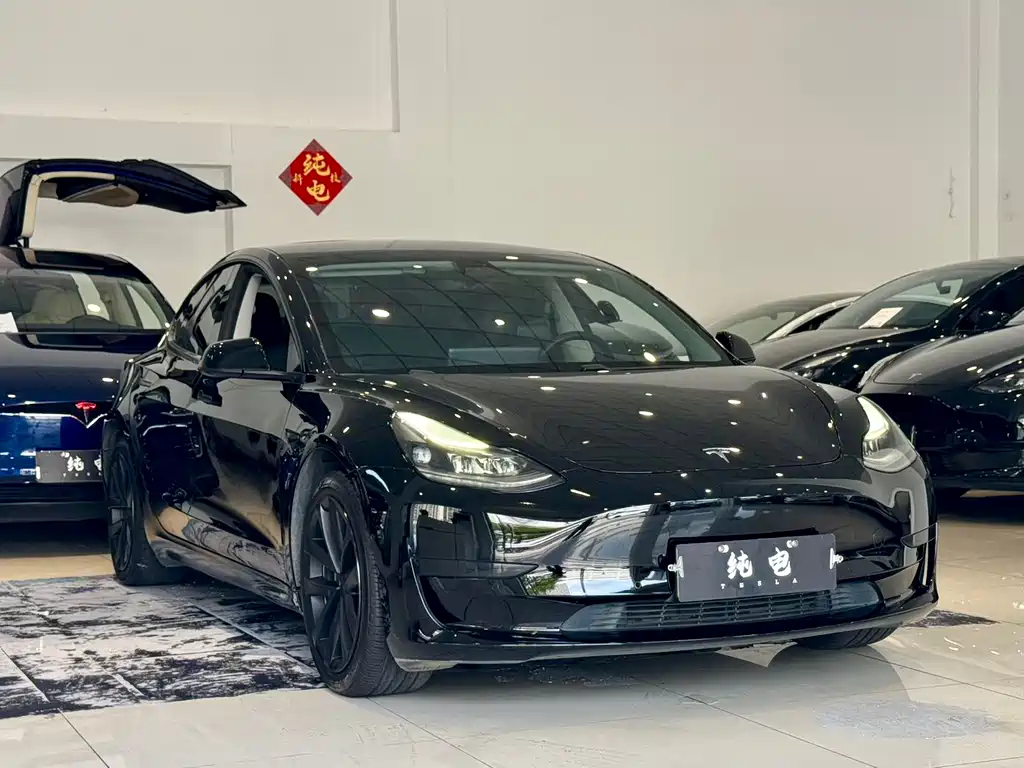 Tesla Model 3 2021 — фото 3
