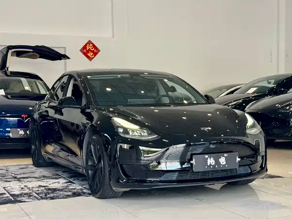 Tesla Model 3 2021