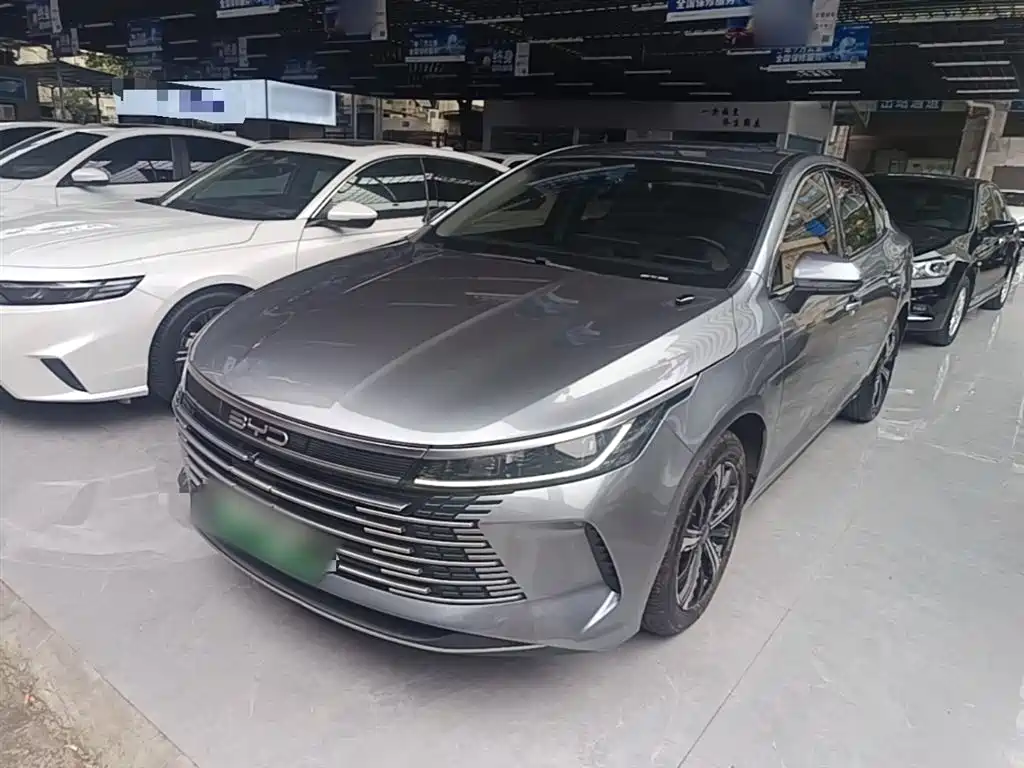 BYD Destroyer 05 2024 — фото 1