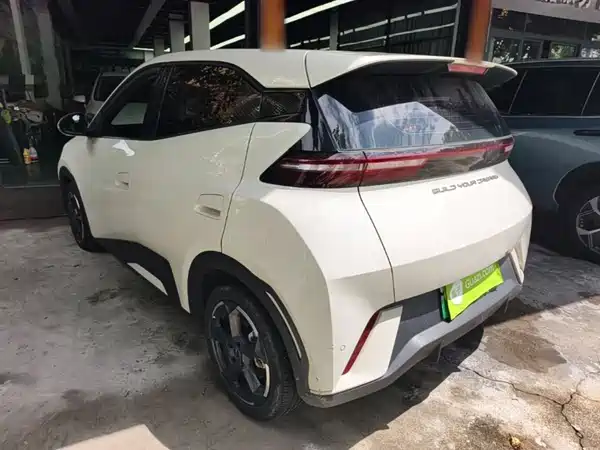 BYD Seagull 2024