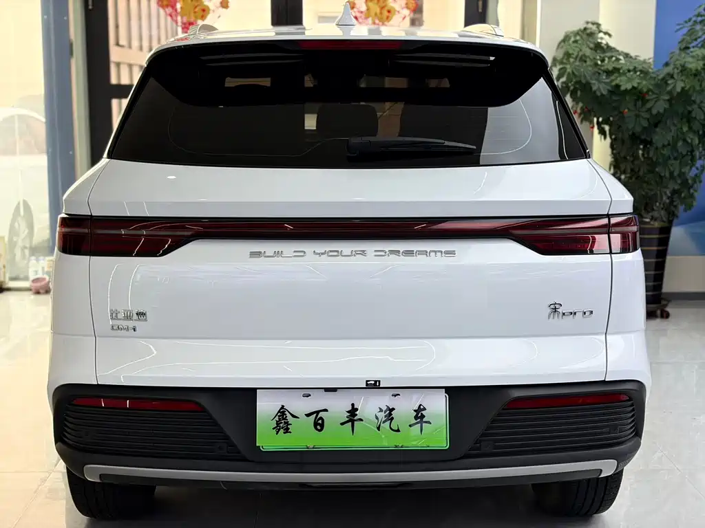 BYD Pro New Energy 2025 — фото 9