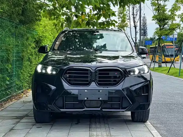 BMW X5 2015