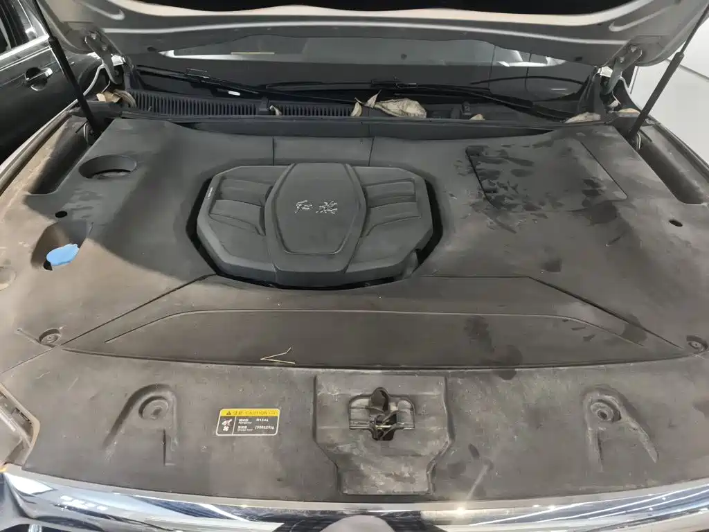 Hongqi HS5 2023 — фото 16