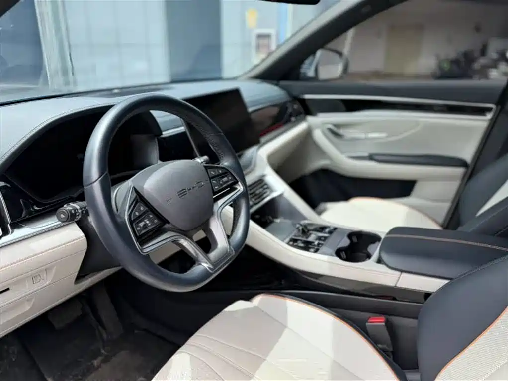 BYD PLUS New Energy 2023 — фото 6