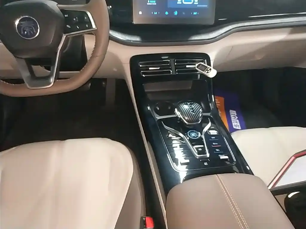 BYD Qin PLUS 2024 — фото 14