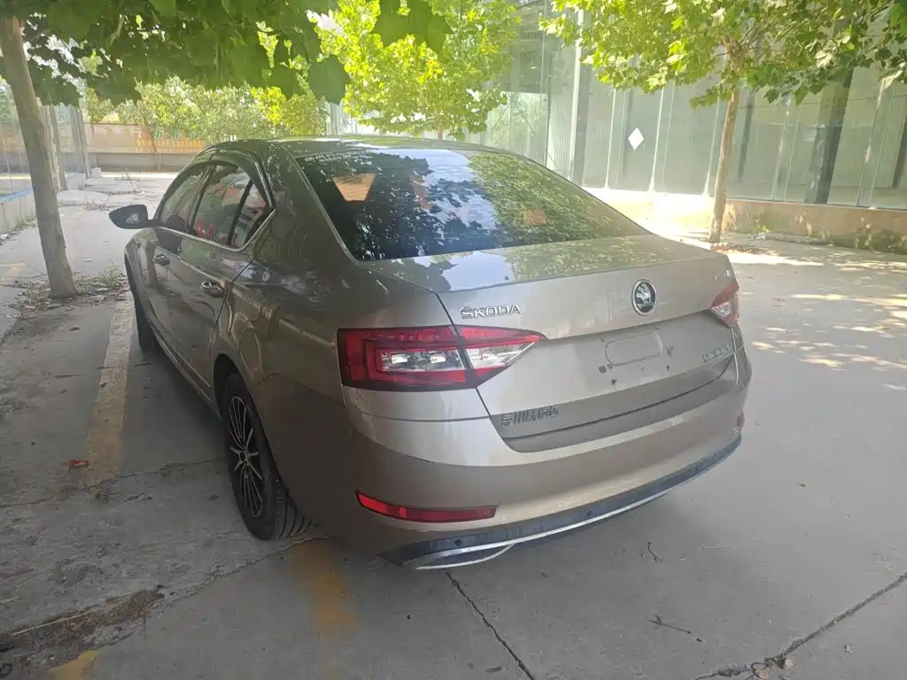 Skoda Octavia 2019 — фото 14