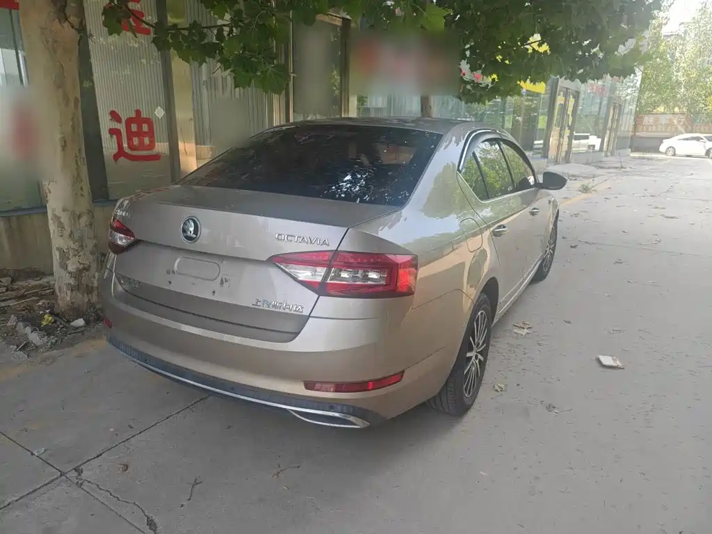 Skoda Octavia 2019 — фото 13