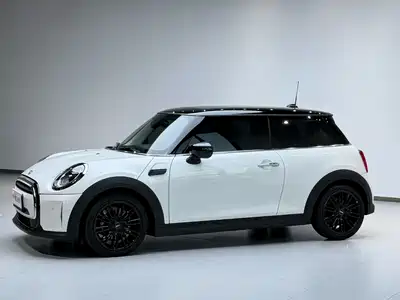 MINI MINI 2024