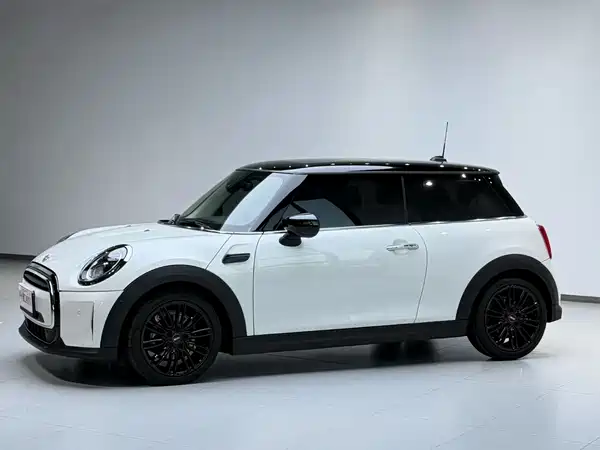 MINI MINI 2024