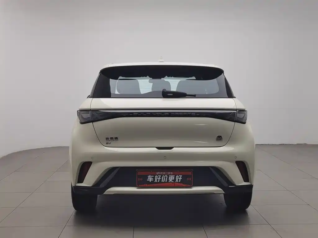BYD Dolphin 2024