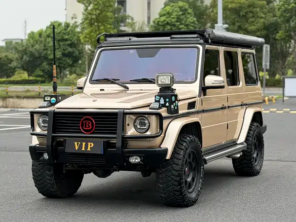 Mercedes-Benz G-Class 2010